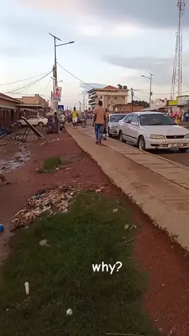 #dandilo #lionheartmusic #why #reggae #artist @Osky Pro @kasio