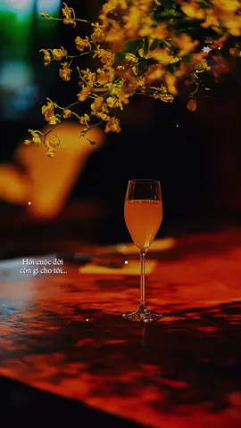 🎶” Hỏi cuộc đời còn gì cho tôi..!”#nhactamtrang #nhachaymoingay #tiktokmusic #giotamtrang9 #fyp 