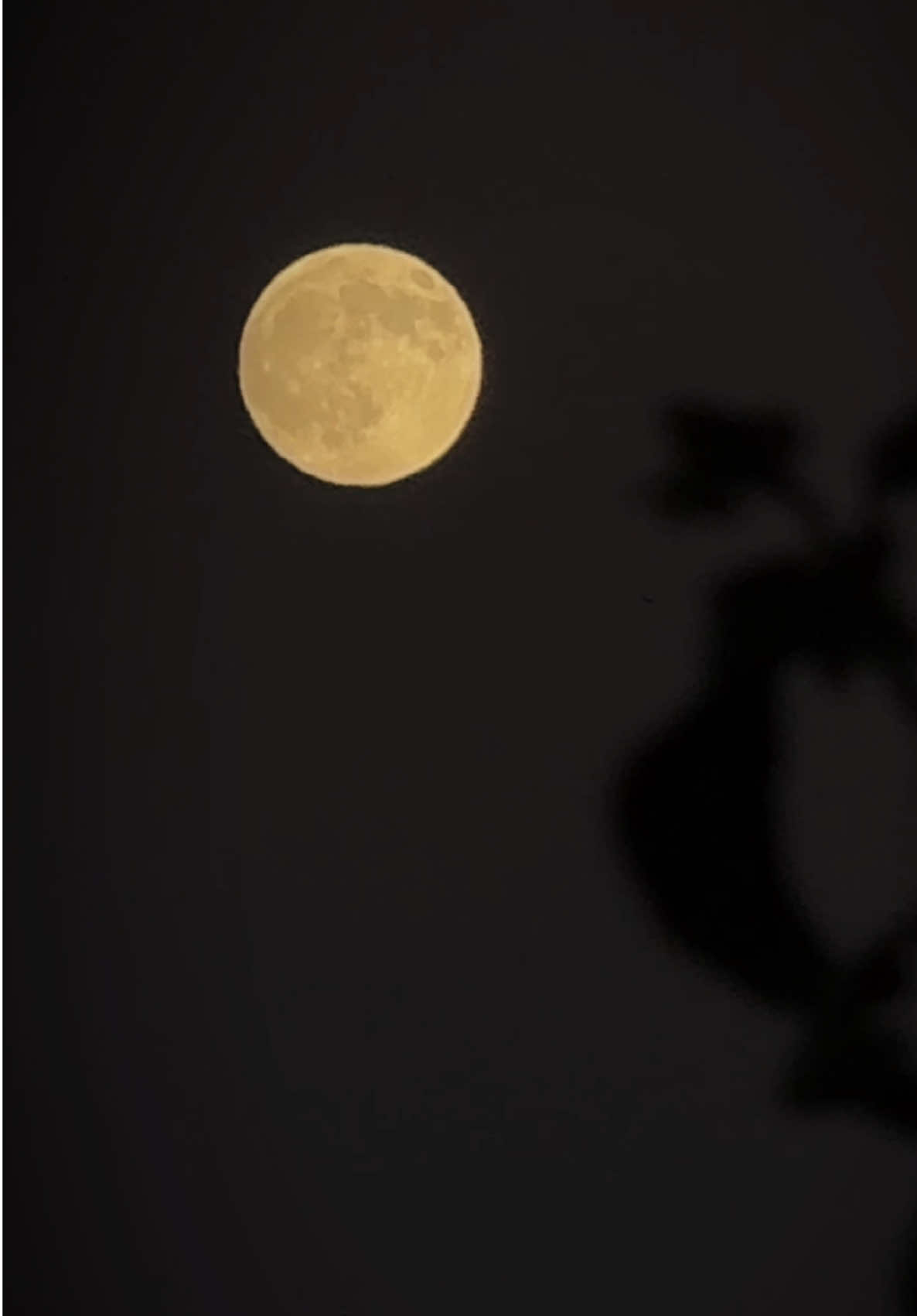 يا كثرهم 😌 #fypage #حكم 