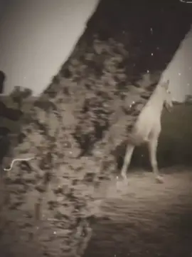 #CapCut #fypp #foryoupage #💯💯💯🖤❤️🔥🔥👿 #foryoupage 