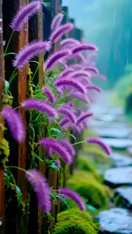 #quran #عبدالباسط_عبدالصمد  #صدقة_جارية_لوالدي_وللمسلمين_والمسلمات #جاسم_عامر_العميري #