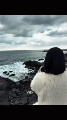 หนูเข้าใจเด็กทันตะแล้วค่ะพี่ — #fyp #向帅 #林君怡 #穿书富家妯娌我和闺蜜齐上阵 #短剧cp 