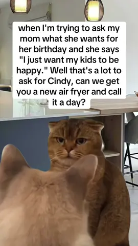 #Meme #MemeCut #airfyer #birthday #momsofticktok 