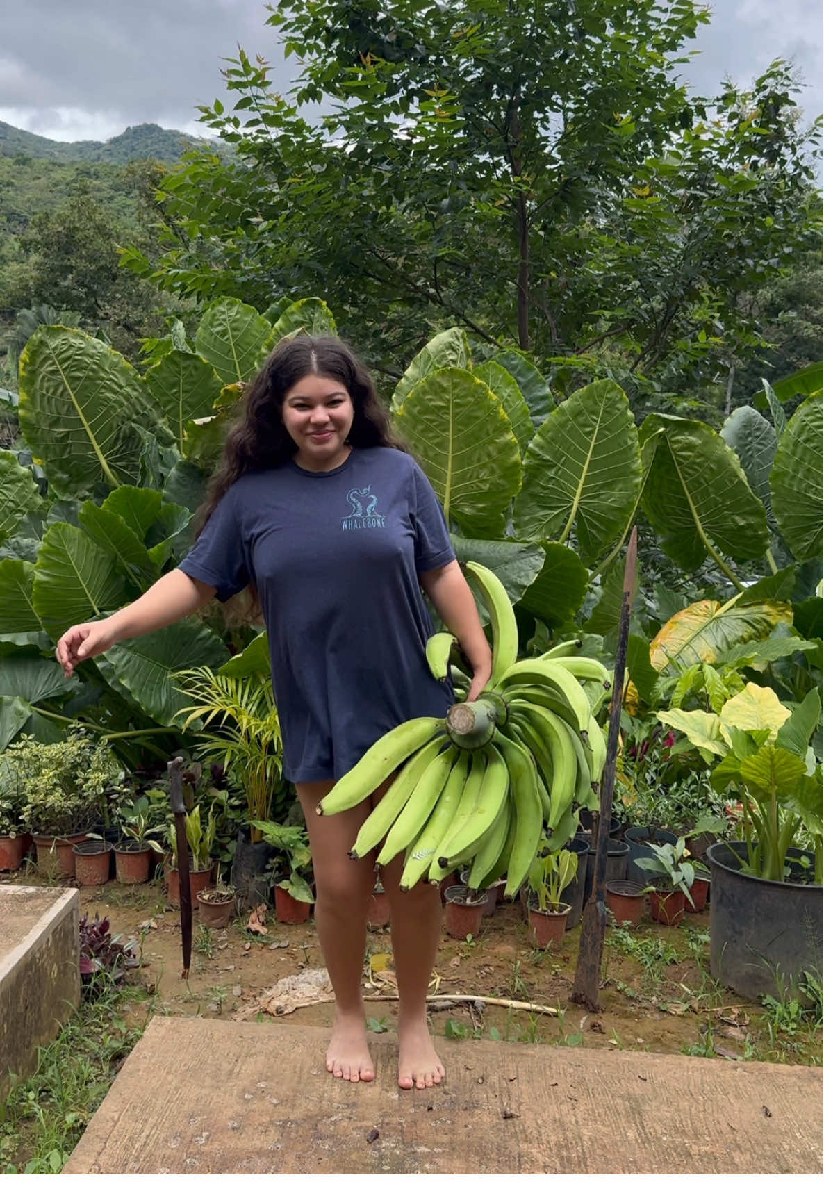 Mi finca produciendo y todo natural🥰❤️ #parati #panama #fyp 