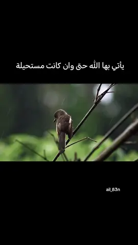 #مشاهدات #شورحاتي 