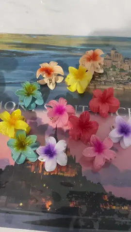 #pince #cheveux #coiffure #fille #tiktokshop 