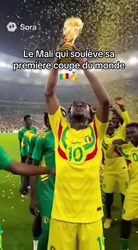 #pourtoii #soraai #france #malitiktok🇲🇱 #worldcup 