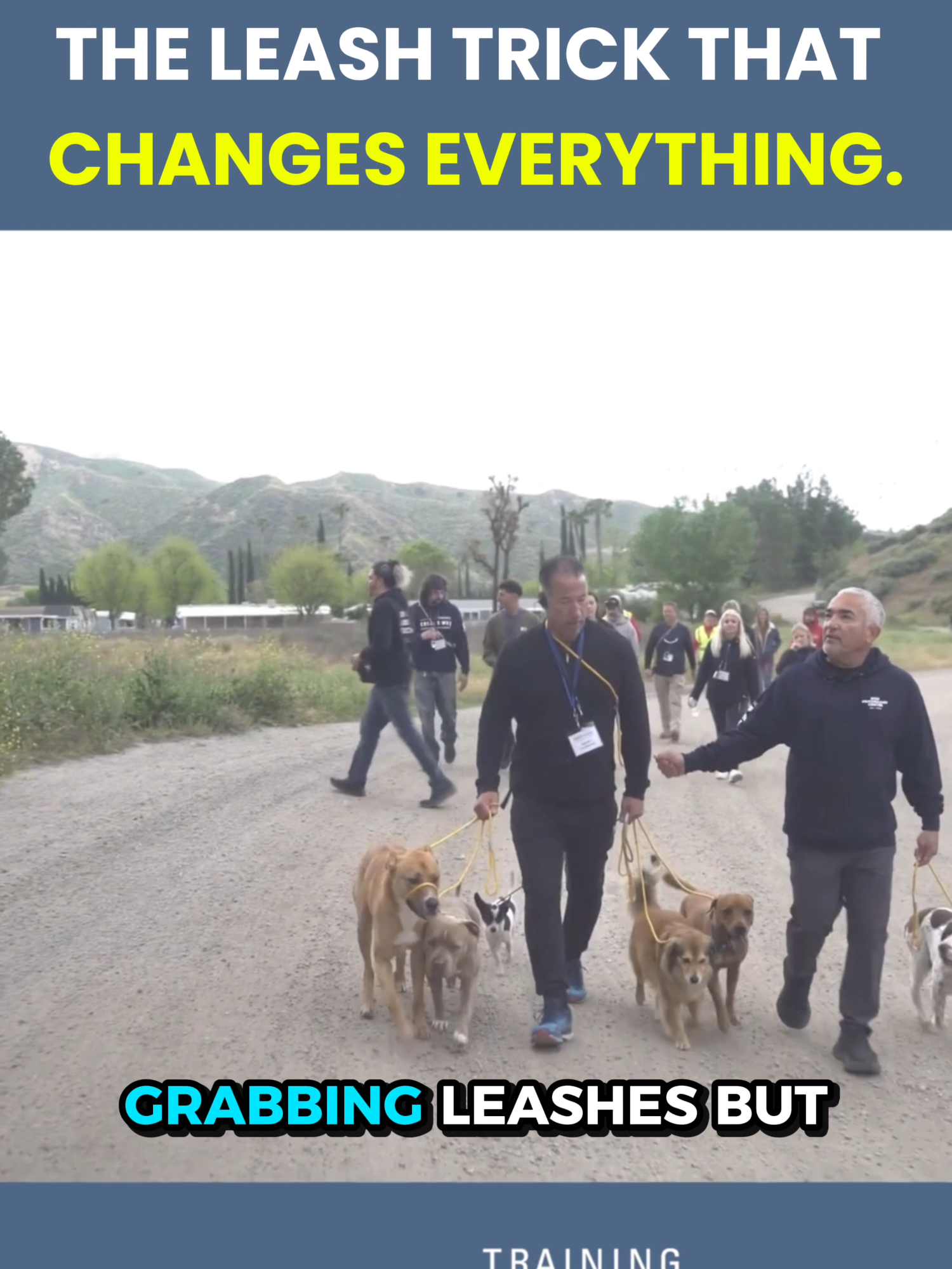 When you grab the leash, don’t look for power. Look for balance.  Want to train live in person with me? Come to the next Fundamentals of Dog Behavior and Training I! Link in bio. Cuando tomes la correa, no busques poder. Busca equilibrio.   ¿Quieres entrenar conmigo en persona y en vivo? Ven al próximo Fundamentals of Dog Behavior and Training I. Link en bio.