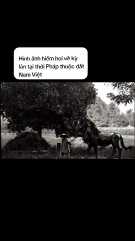 Loại vật đã tuyệt chủng ở Việt Nam #viral
