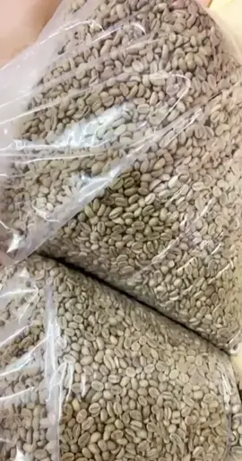 #قهوه #اكسبلور #مالي_خلق_احط_هاشتاقات🦦 #الشعب_الصيني_ماله_حل😂😂 #foryoupage 