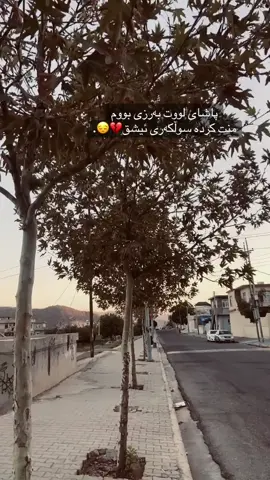 سوڵکەری ئیشق💔😔.#ئەکتیڤ #fyp #viral #حەمە_دۆسکی 