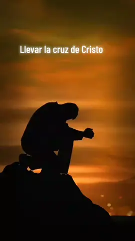 En medio de luchas y pruebas, ayúdame mi Dios, porque sin ty nada soy. Está carrera no es fácil, pero se un día mi recompensa tendre#alabanzas_cristianas #videoviral 