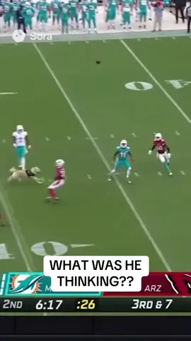 Tua throws the ball to a dog for the touchdown but he drops it early for a touchback! #funny #football 