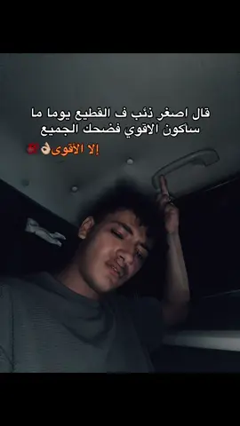 #الـبـطـل #تريند #1m #أغاني #إكسسوارات 