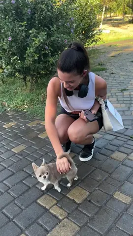 Всі люблять лукаса 🫶🏻🤗😘🥰