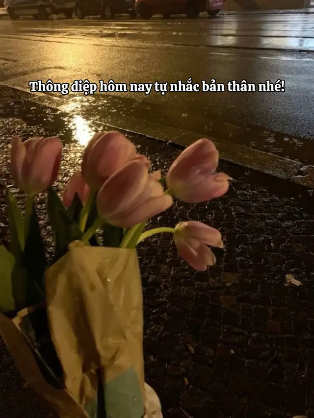 Chúng ta vẫn đang tốt hơn mỗi ngày 📆  Nhưng bạn biết không Bạn là người không thấy nó chứ không phải là bạn không cố gắng đâu nhé😉 Nên là đừng tự trách bản thân mình nha🫶 #truongthanh #sad #fyp 