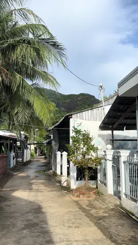 Khỉ bạch ở núi hòn Sơn 