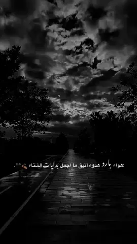اهلا ببدايات الشتاء 🍂🖤.  #اجواء_الشتاء #مطر #اكسبلورexplore #viral_video #fyp 