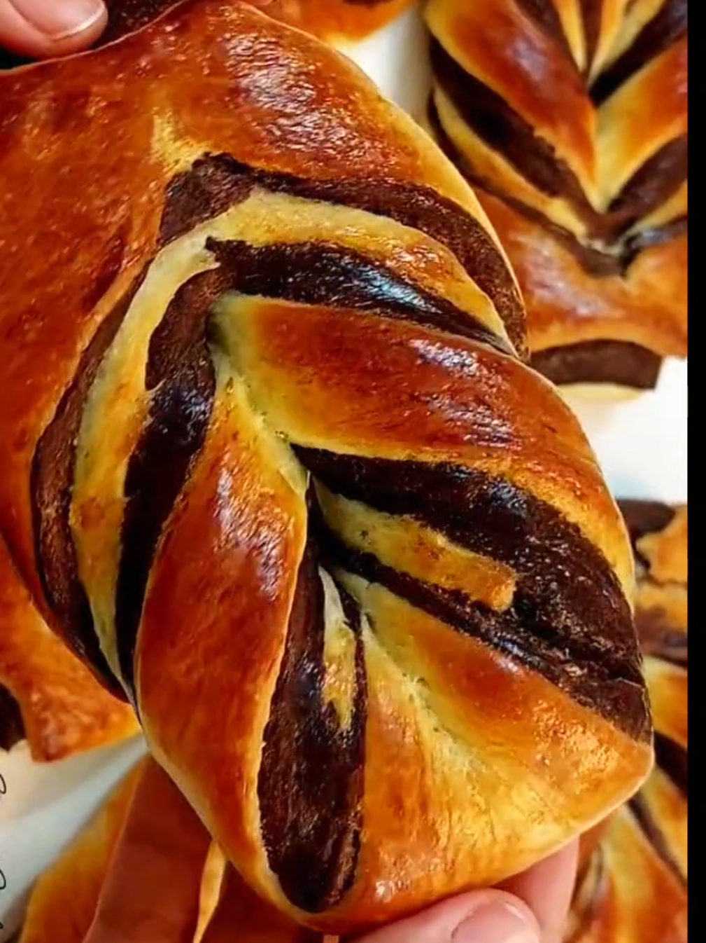 I learned this trick from Spain bakery 🫠 🥣ingredients ❤  250ml lukewarm milk  sugar:50g yeast:5g vanilla:1/2tsp vegetables oil:80ml  corn starch:20g salt:5g egg white:1 Flour 500_600g cacao powder:15g+water:1_2tbsp melted butter:30g egg yolk:1+milk:1tbsp preheat the oven  with a temperature of 180°c for 20_25 minutes  #breadrecipe #sweetbread #breadtok #bakingtiktok #dessert 