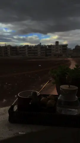 حاسه حالي أقوى.🖤☘️..؟ #مالي_خلق_احط_هاشتاقات  #yyyyyyyyyyyyyyyyyyyyyyyyyyyyyy  #لايكات_الاكسبلور_متابعه  #ypシ゚viral #تصوري📸 