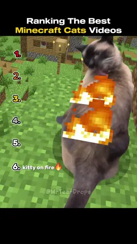 #fyp #funnymoments #funnyvideos #Minecraft #cat 