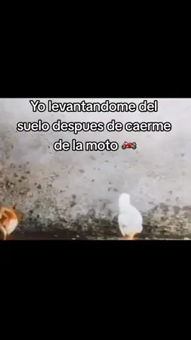 🥴🥴