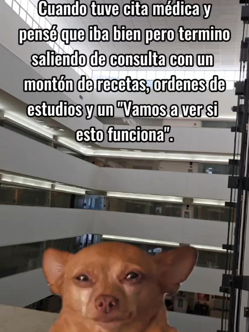 Si te identificas no olvides seguirme!  Un día común teniendo alguna enfermedad crónica 😅 no más lo que es #humor #autoinmune #enfermedadescronicas #lupus #paciente 