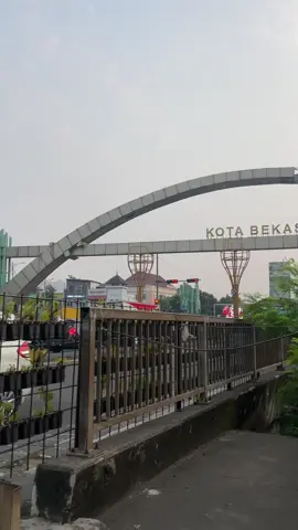 hiu darat #shankara #ariasuryatrans #ariasurya #pariwisata #lamunan 