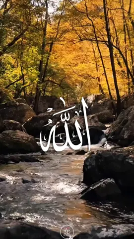 Islamic live wallpaper 4k  #islamic_video #foryou #foryoupage #wallpaper4k #livewallpaper 