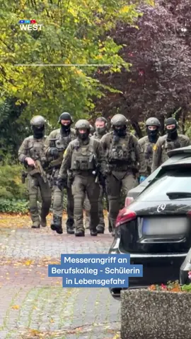 Großeinsatz an einem Berufskolleg in Paderborn: Ein 25-Jähriger soll in einer Sporthalle auf eine Schülerin eingestochen haben. Sie musste notoperiert werden - schwebt in Lebensgefahr. Mehr dazu im Video!