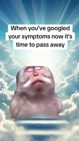 #Meme #MemeCut #CapCut #fyp #foryoupage 