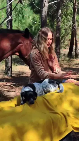 #medicinewoman #animalmedicine #healingwithnature #healingwithanimals #healingwithhorses 