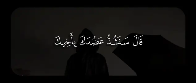 قَالَ سَنَشُدُّ عَضُدَكَ بِأَخِیكَ وَنَجۡعَلُ لَكُمَا سُلۡطَـٰنࣰا فَلَا یَصِلُونَ إِلَیۡكُمَا بِـَٔایَـٰتِنَاۤۚ أَنتُمَا وَمَنِ ٱتَّبَعَكُمَا ٱلۡغَـٰلِبُونَ﴾ [القصص ٣٥] #ياسر_الدوسري #سورة_القصص #quran #قران 