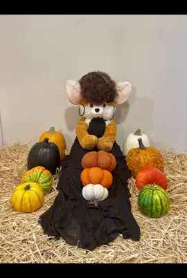 Wrapped in autumn beauty! 🍁🍂
