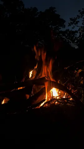 #foryoupage #fyp #like #kurdistan از بوتە دسوژم بەلی تو حەش بەفری دکی🔥💔8:04pm