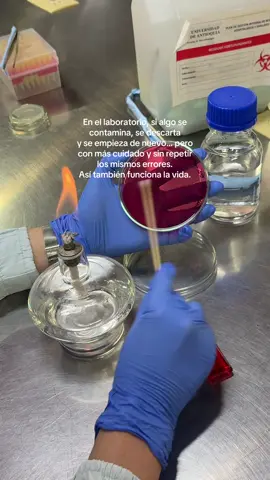 Aprendiendo de errores ✨#microbiologia #laboratorio #microorganismos #foryou #estudiantesmicrobiologia 