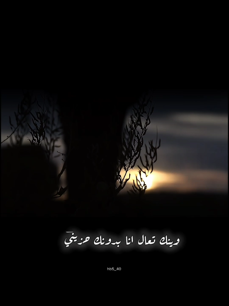 وينك تعال انا بدونك حزيني من يوم غبت القلب فارق مقره#fyp #fypシ 