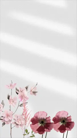 بشارة مولودة الأخ بدون حقوق حلالكم#بشارة_مولودة_اخوي#بشارة_مولودة #بشارة_مولود #بشارة_حفيدتي #بشارة_حفيدة #بشارة_بدون_حقوق 