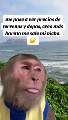 #Meme #humor #reflexion #fyp 