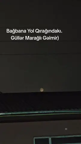 Çünki bəzən ən gözəl güllər belə, onları dəyərləndirməyənlərin baxışında solur..