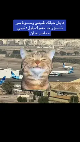 عيشتن تعبانة #الكويت #الشعب_الصيني_ماله_حل😂😂 #دوام #عزوبية #بنيان 