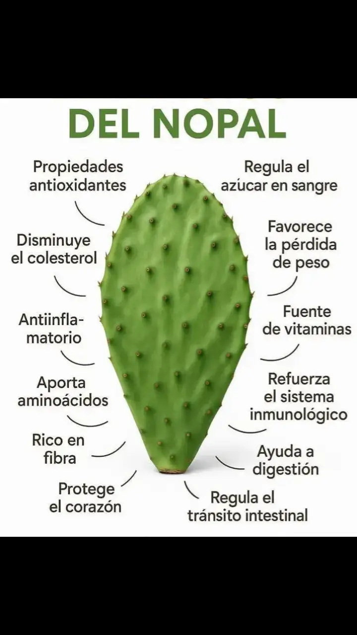 #propiedadesNOPAL #FRESCO #POLVOoCAPSULAS #ENjugoVerde #sopas 