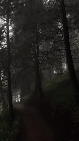 Emang sihh vibes gini yang buat tenang🙂#praumountain #prauviapatakbanteng #2590mdpl #fyp #pendakifomo 