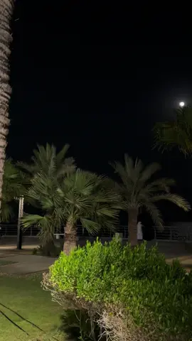 #khobar #كوفيهات_الخبر #بحر_الراكه #كورنيش_الخبر #الخبر 