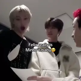 Oh my Minlix I love them so much #straykids #skz #felix #leeknow #straykidsstay 
