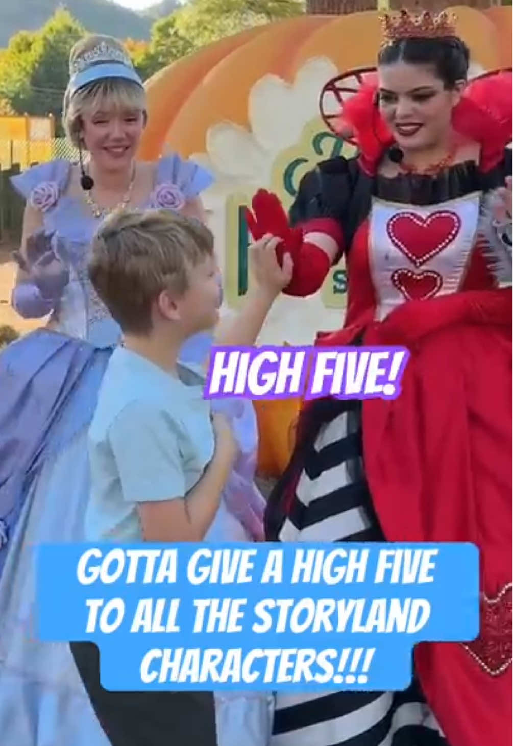 The Mission is to  High Five Every Princess, High Paw the Wolf and High Hook Cpt Hook!  #princess #costume #cute #fun 