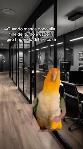 #CapCut #Meme #MemeCut #capcutmotivacional #memestiktok 