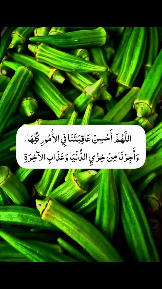 #🕋🌹🏴🕋🕌🌹🕌🕋🌹🕌🕋🌹 