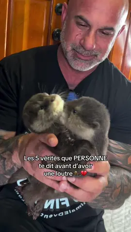 La quatrième c’est vraiment la pire 😅🦦 #loutre #animaux #animauxdecompagnie 