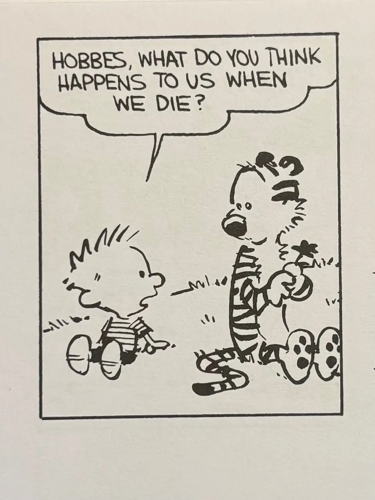 Calvin has some questions.. hope everyone has a great rest of the day #calvinandhobbes #fyp #viral #funny #comics 